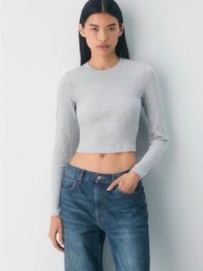 Aritzia TNA Homestretch Ribbed Grey Longsleeve